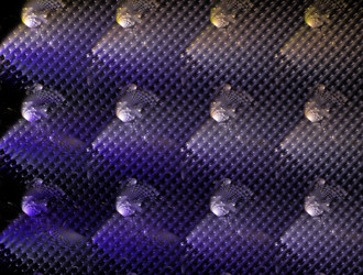 Similar image 21617193