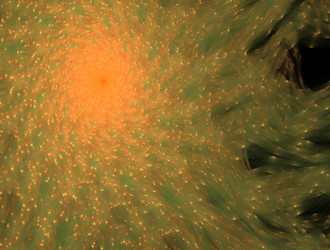 Similar image 21558107