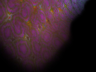 Similar image 21620025