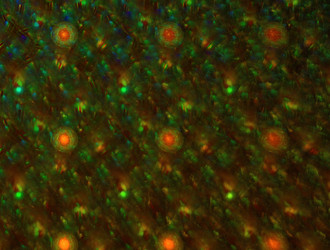 Similar image 21558024