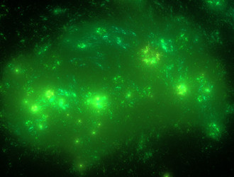 Similar image 21625409