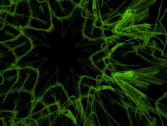 Similar image 21558130