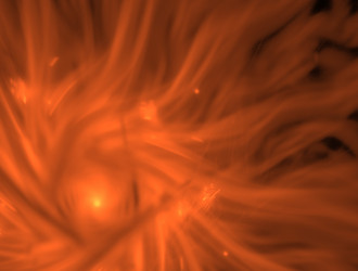 Similar image 21618698