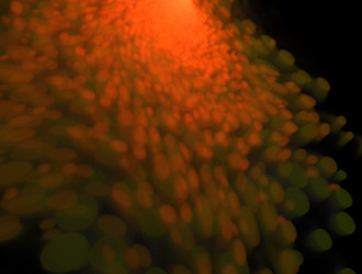 Similar image 21619678