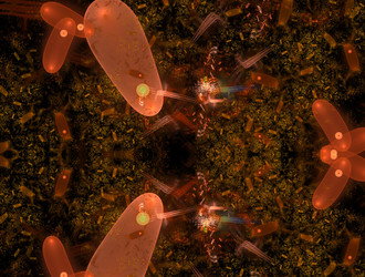 Similar image 21620387