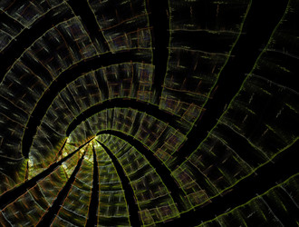 Similar image 21617606