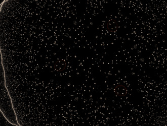 Similar image 21612345