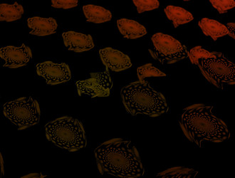 Similar image 21620722