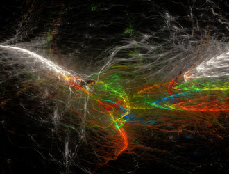 Similar image 21558556