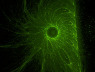 Similar image 21612348