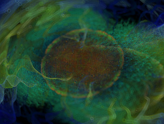 Similar image 21615167