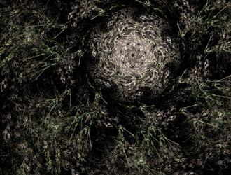 Similar image 21558559