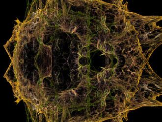 Similar image 21624043