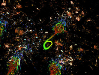 Similar image 21612354