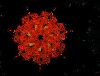 Similar image 21624046