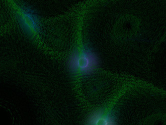 Similar image 21619209