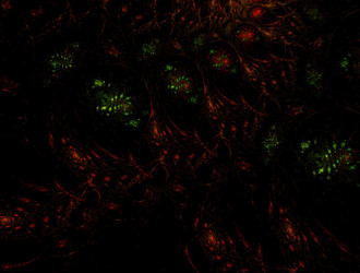 Similar image 21619681