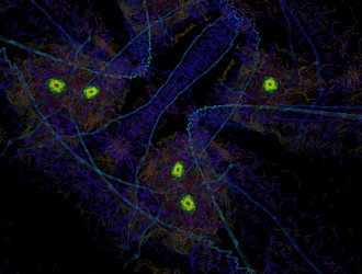 Similar image 21558742