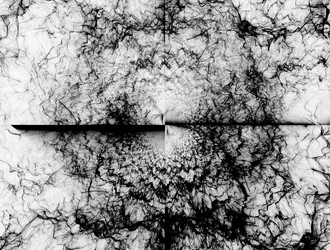 Similar image 21558744