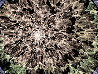 Similar image 21618725