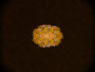 Similar image 21624972