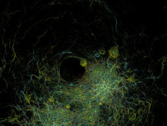 Similar image 21624484