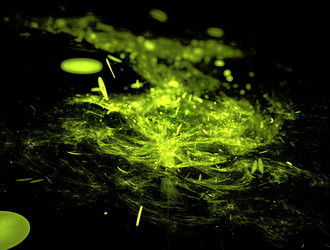 Similar image 21617237