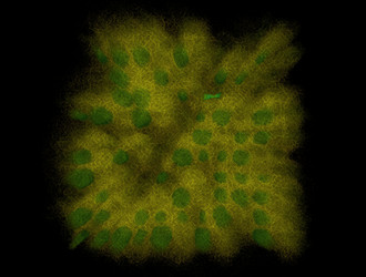 Similar image 21618726