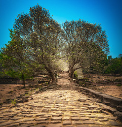 Similar image 21608521