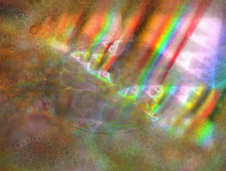 Similar image 21558164