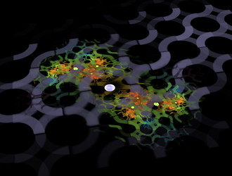 Similar image 21558311