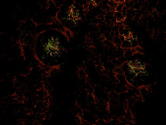 Similar image 21617926