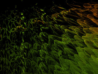 Similar image 21618366