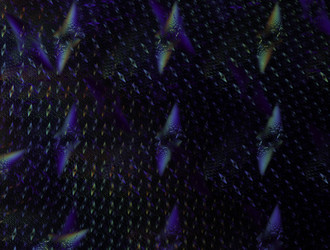 Similar image 21626237