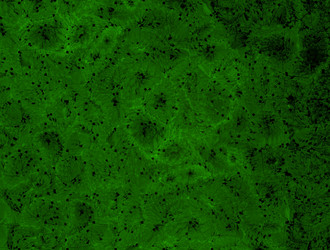 Similar image 21613985