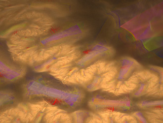 Similar image 21613989