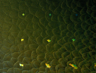 Similar image 21612368