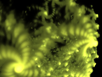 Similar image 21558762