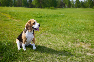 Similar image 21618738