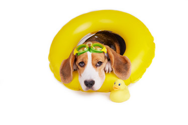 Similar image 21618742