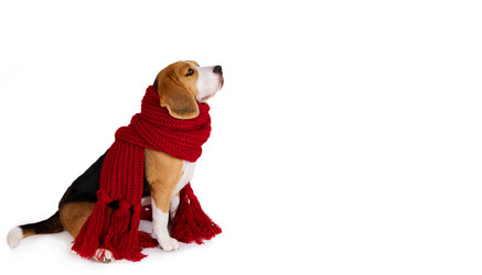 Similar image 21618745