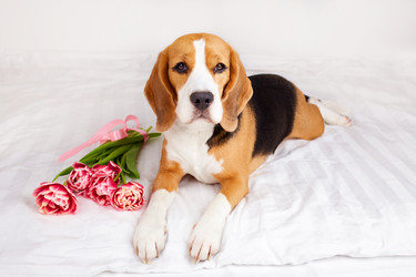 Similar image 21618747