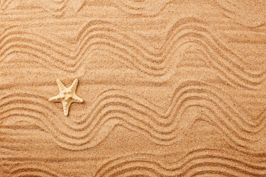 Similar image 21618749