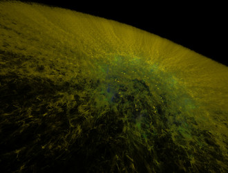 Similar image 21617248