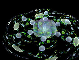 Similar image 21619685