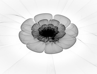 Similar image 21614008