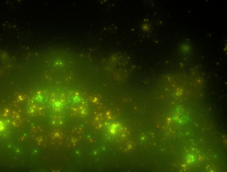 Similar image 21617255