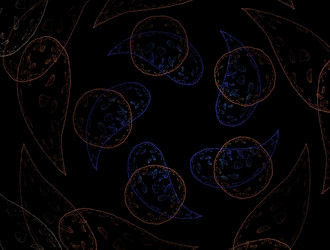 Similar image 21557757