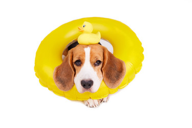 Similar image 21618764