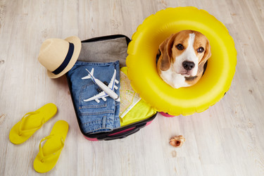 Similar image 21618771